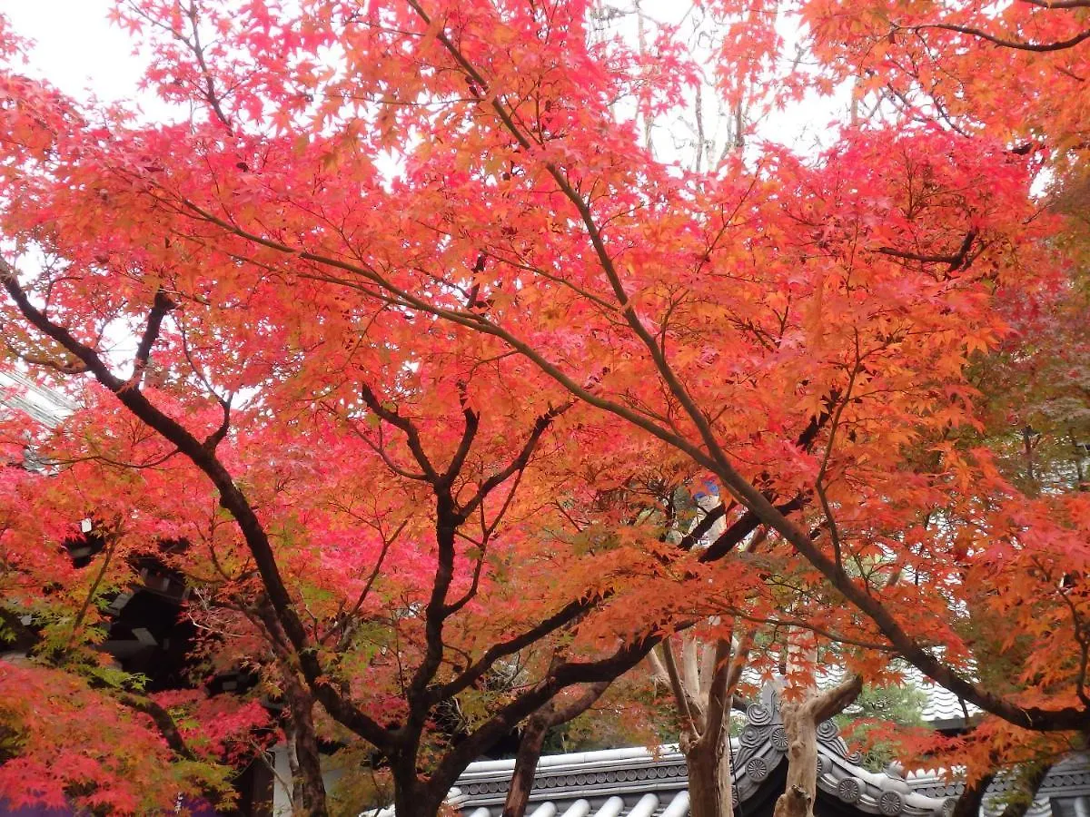 京の宿西大路 京都市 0*,  日本
