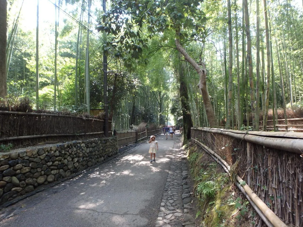 ゲストハウス 京の宿西大路 京都市