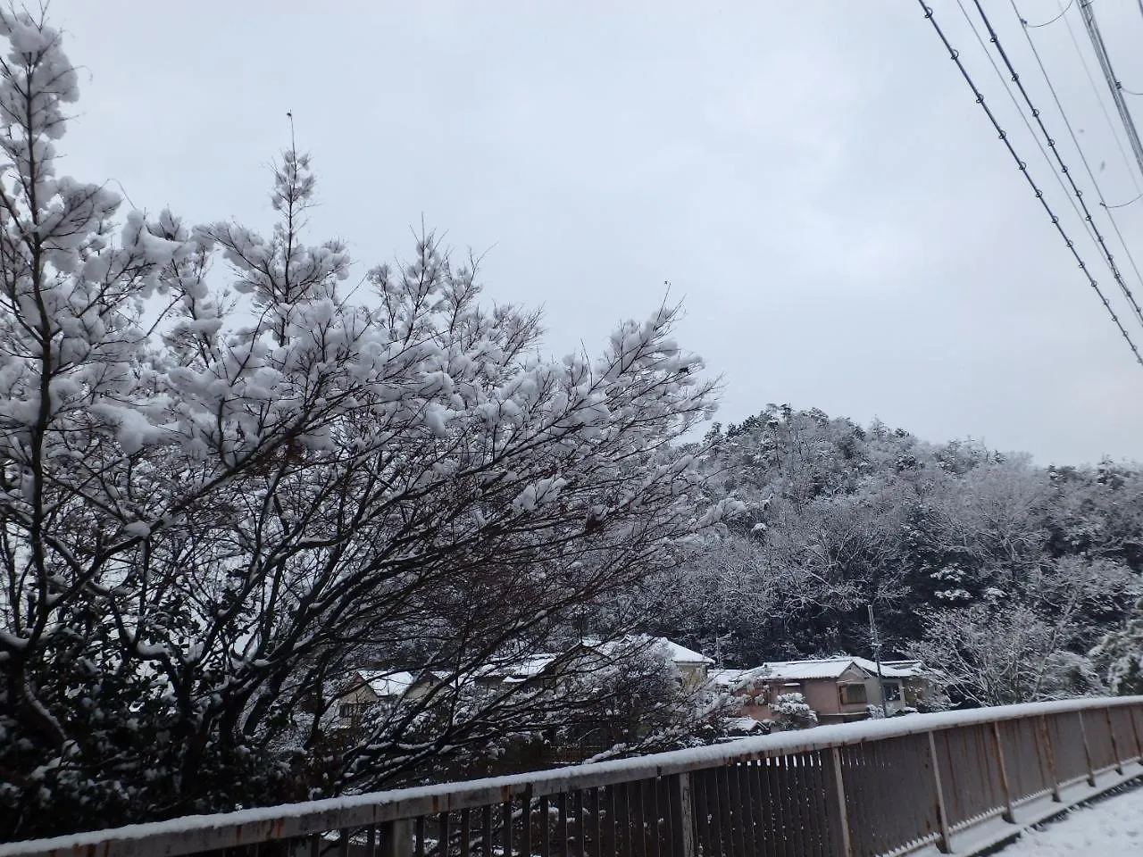 京の宿西大路 京都市 0*,