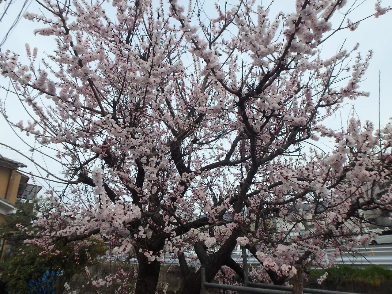 京の宿西大路 京都市 日本