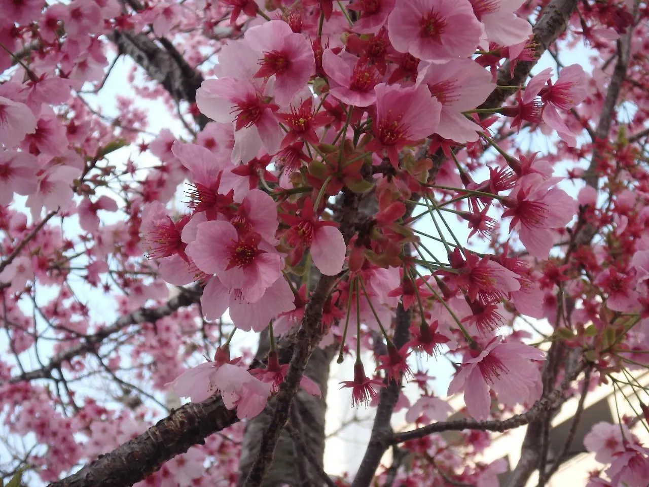 京の宿西大路 京都市