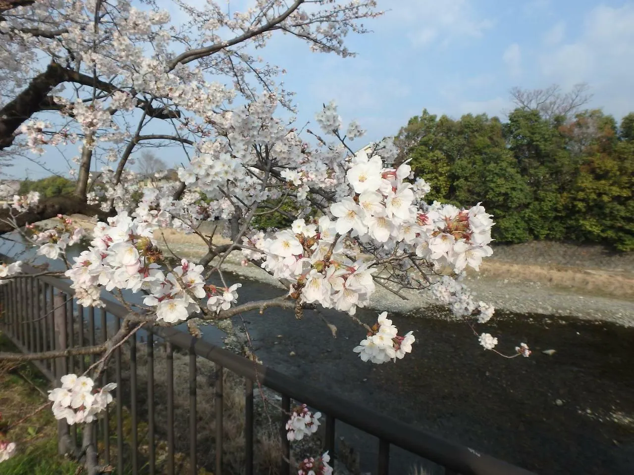 ゲストハウス 京の宿西大路 京都市