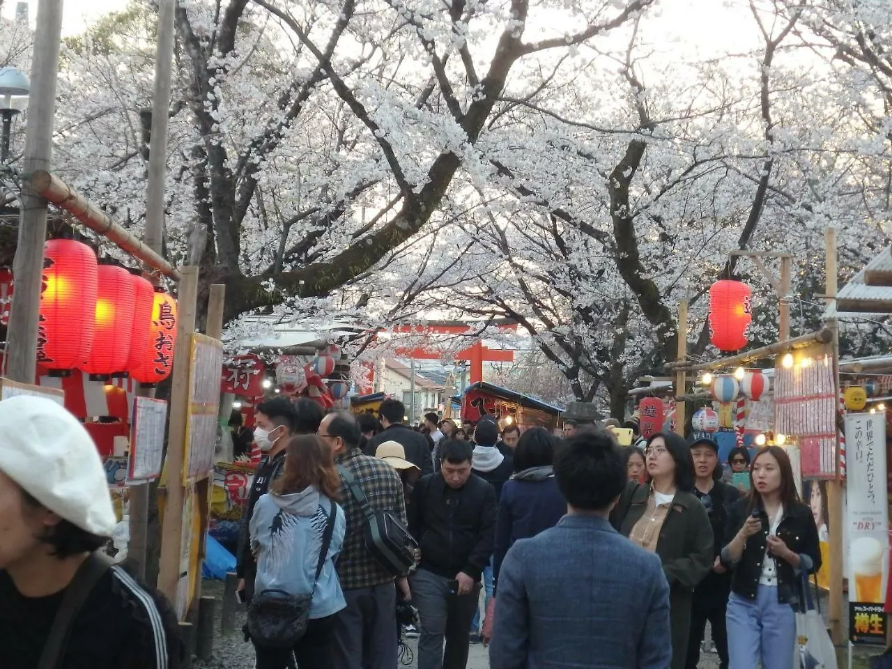 京の宿西大路 京都市 0*,